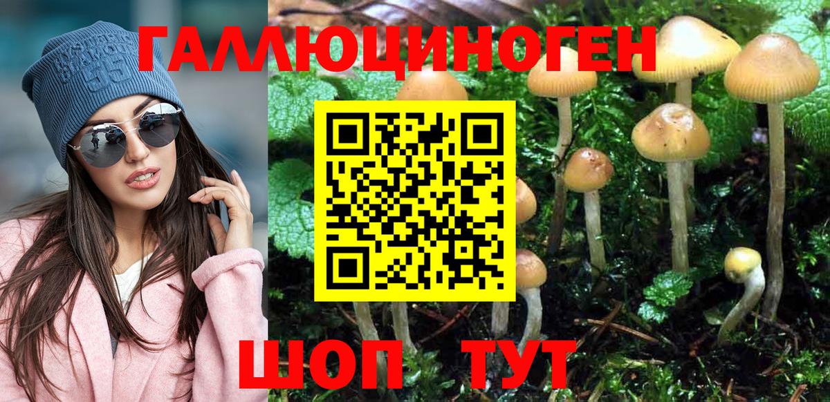 Карасук  Псилоцибиновые грибы Cubensis  Псилоцибиновые грибы Psilocybe  Вход с VPN 