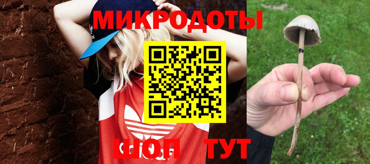 Галлюциногенные грибы Psilocybine cubensis Карасук