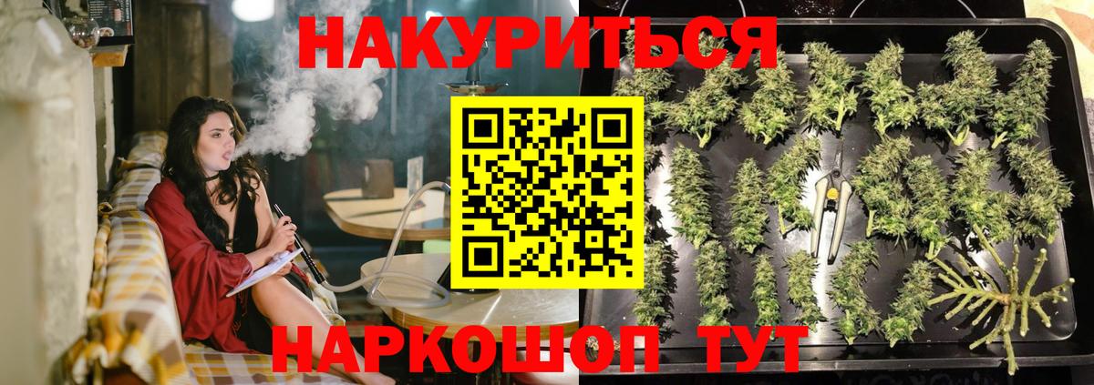 Каннабис SATIVA & INDICA Карасук